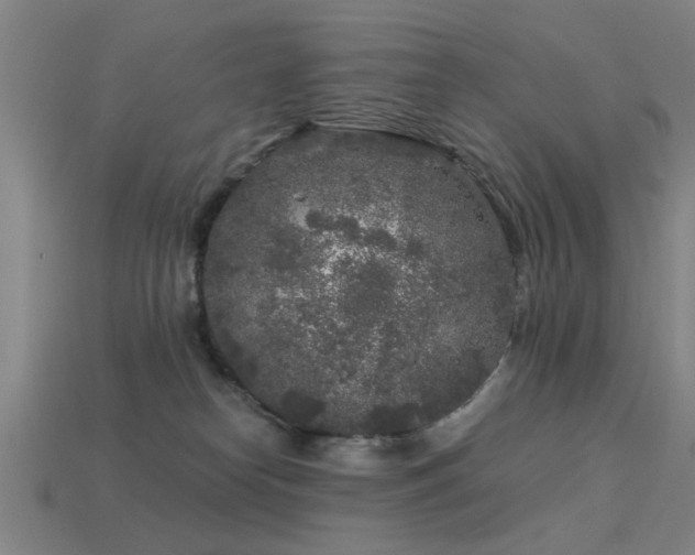 X0000113610182200909181426