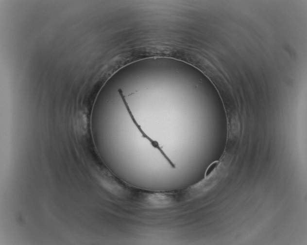 X0000113610183200909181426