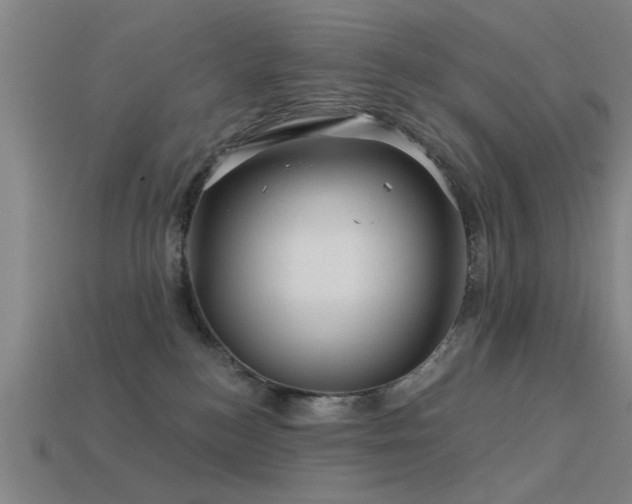 X0000113610184200909181426