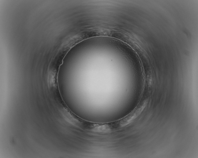 X0000113610185200909181426