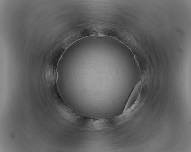 X0000113610186200909181426