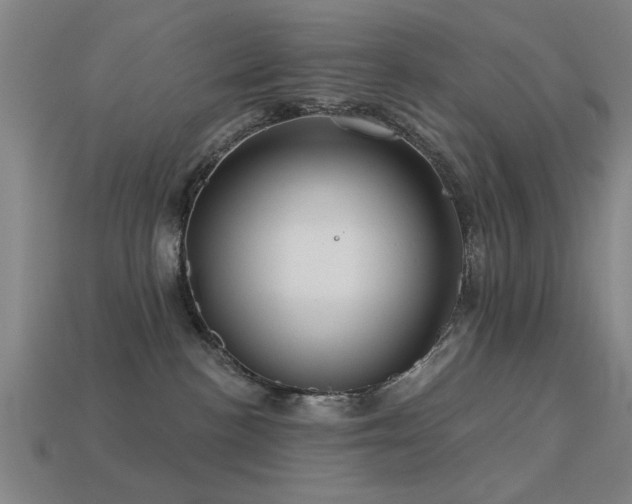 X0000113610188200909181426