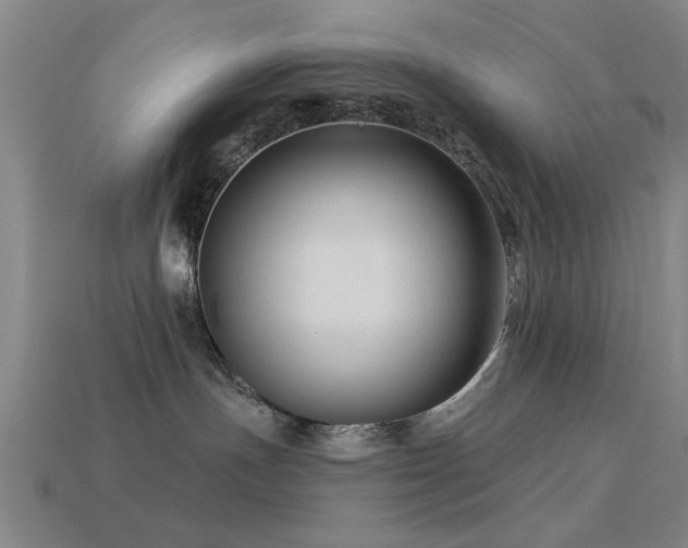 X0000113610191200909181426