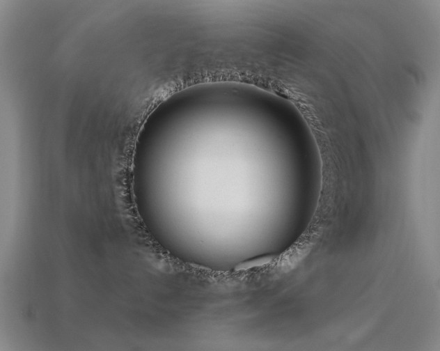 X0000113610192200909181426