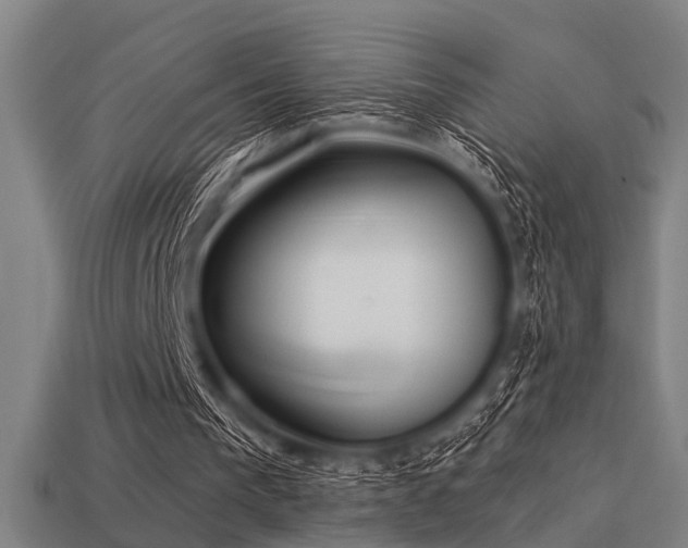 X0000113610193200909181426