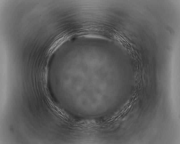 X0000113610194200909181426