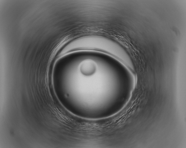 X0000113610195200909181426