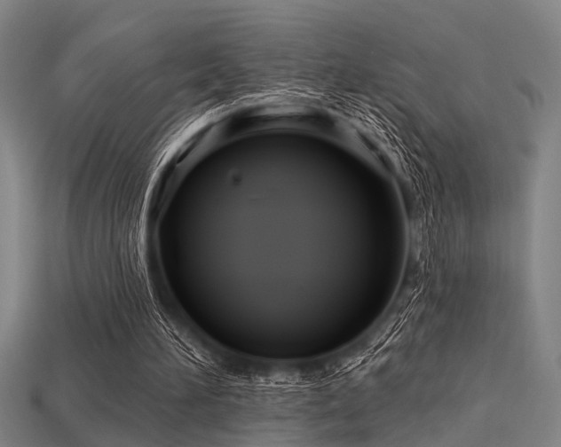 X0000113610196200909181426