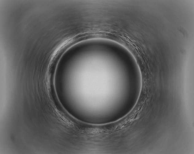 X0000113610197200909181426