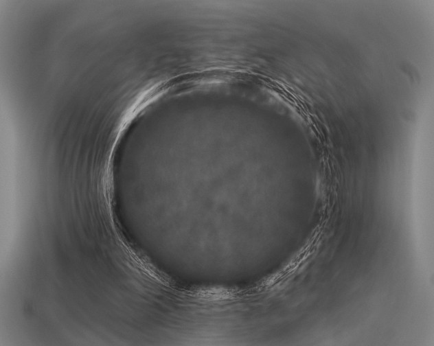 X0000113610198200909181426