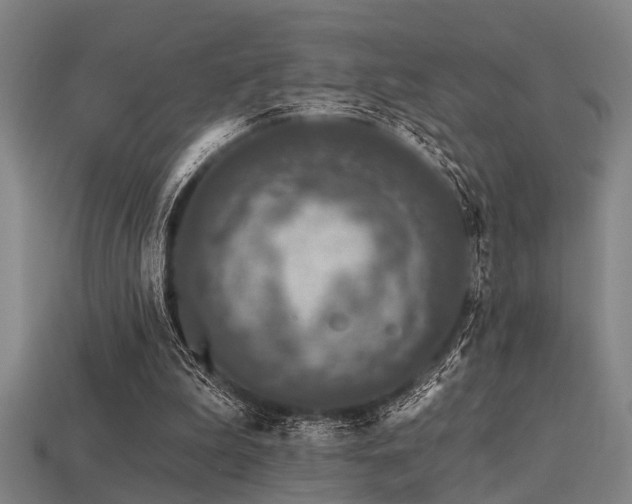 X0000113610199200909181426