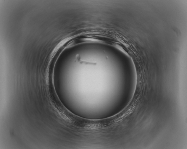 X0000113610200200909181426