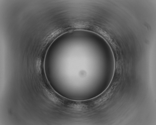 X0000113610201200909181426