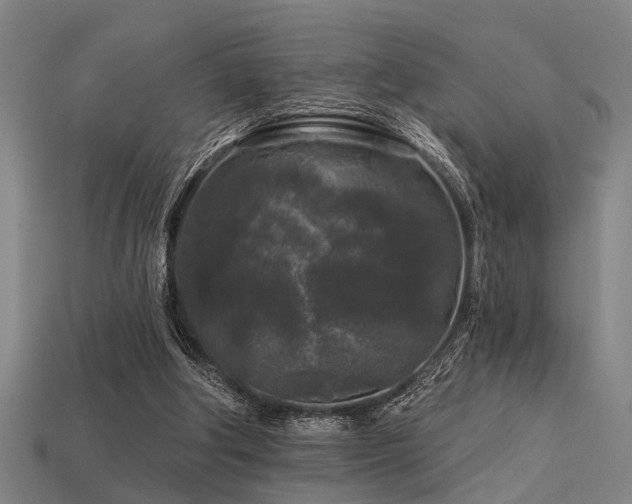 X0000113610202200909181426