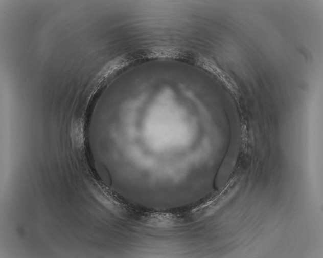 X0000113610203200909181426