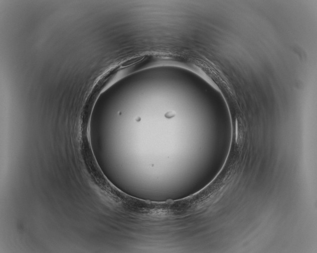 X0000113610204200909181426