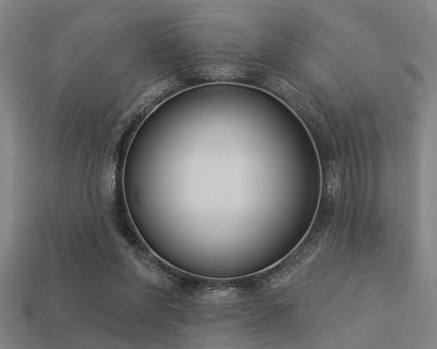 X0000113610206200909181426