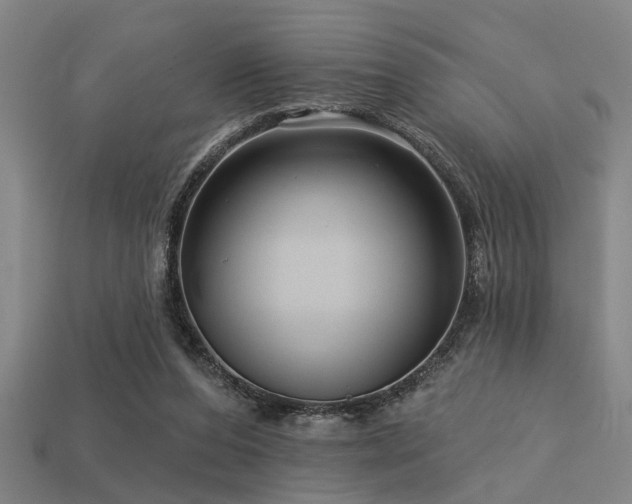 X0000113610208200909181426