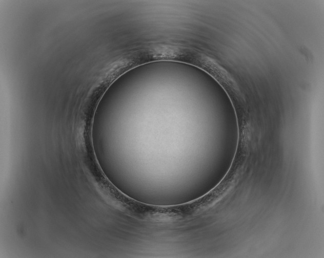 X0000113610209200909181426