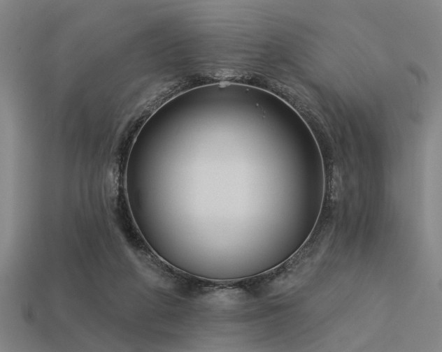 X0000113610210200909181425