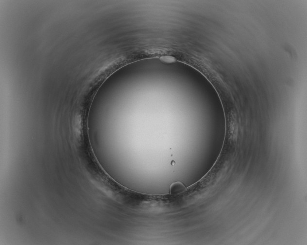 X0000113610211200909181425