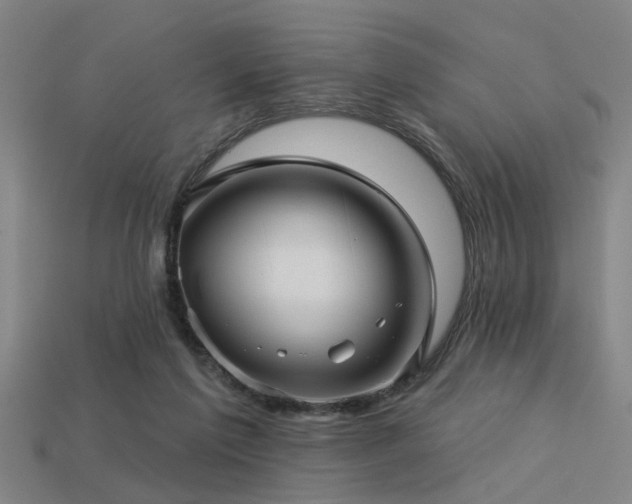 X0000113610213200909181425