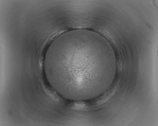 X0000113610214200909181425