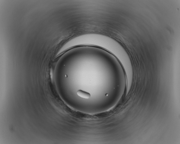 X0000113610215200909181425