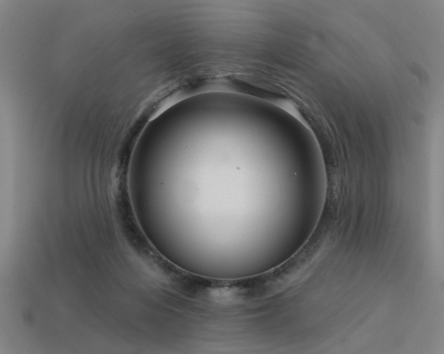 X0000113610216200909181425