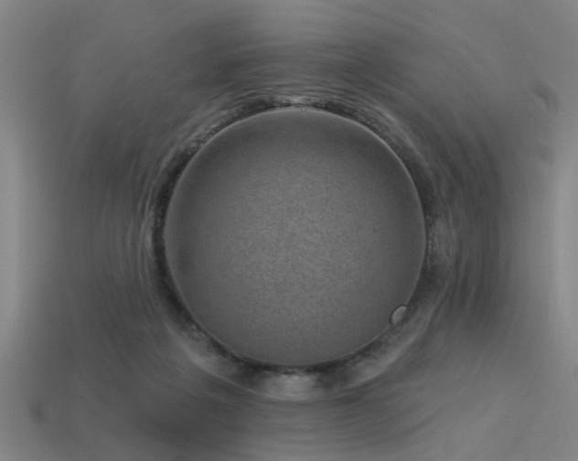 X0000113610217200909181425