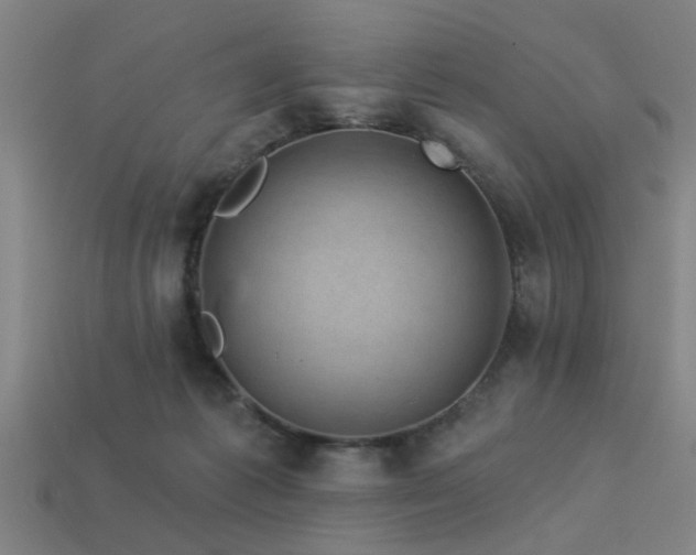 X0000113610221200909181425