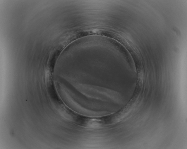 X0000113610222200909181425