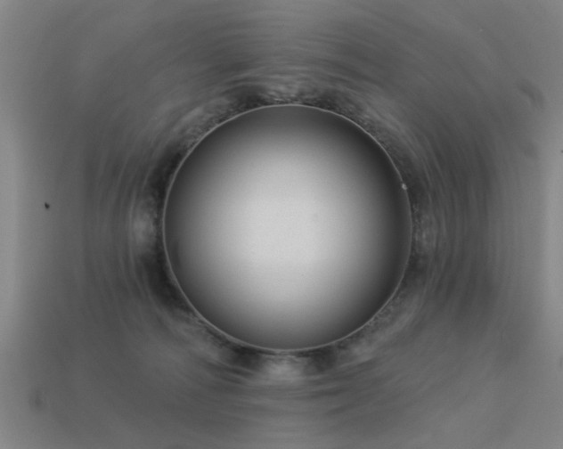 X0000113610226200909181425