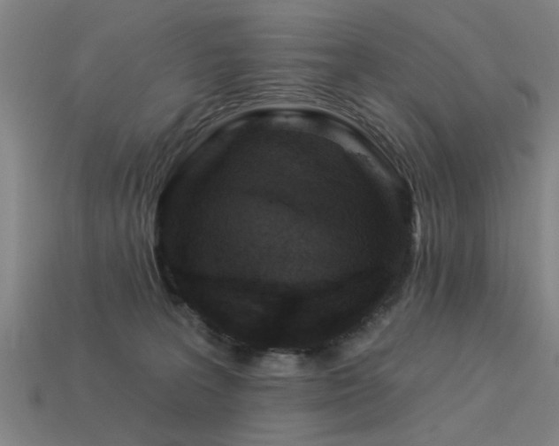 X0000113610227200909181425