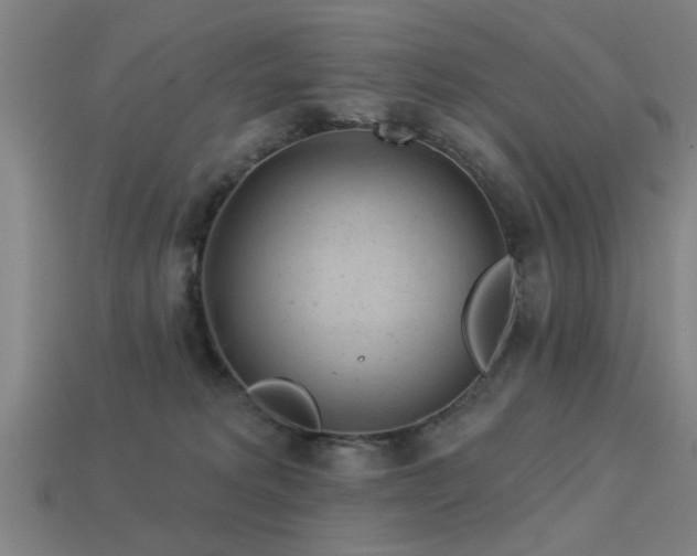 X0000113610229200909181425