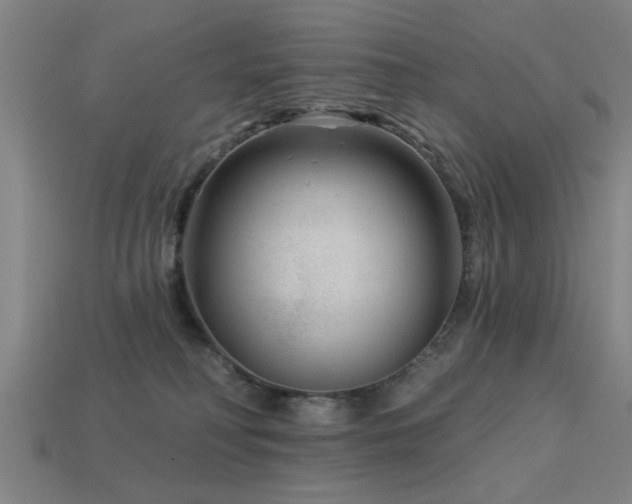 X0000113610230200909181425