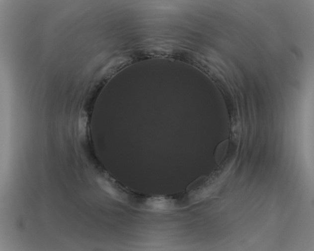 X0000113610231200909181425