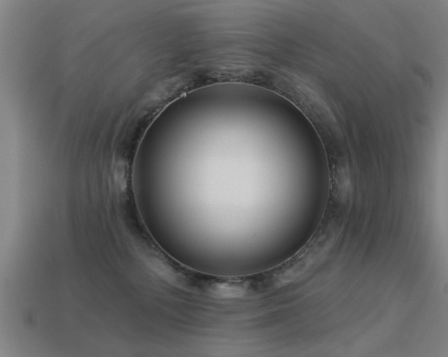 X0000113610232200909181425