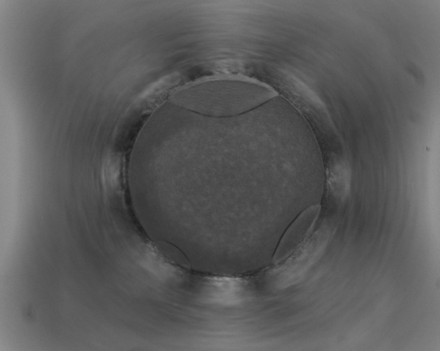 X0000113610233200909181425