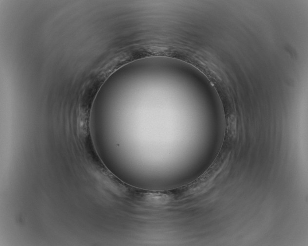 X0000113610234200909181425