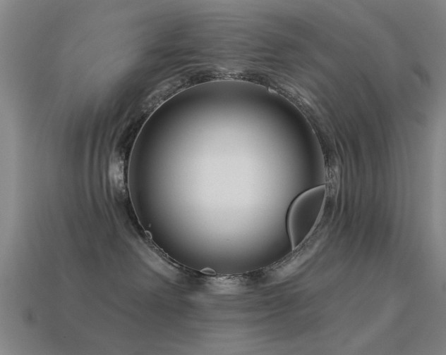 X0000113610238200909181425