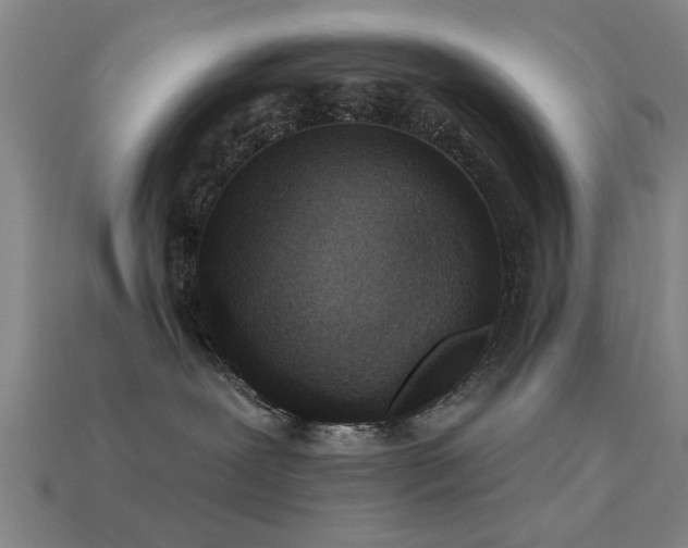 X0000113610239200909181425