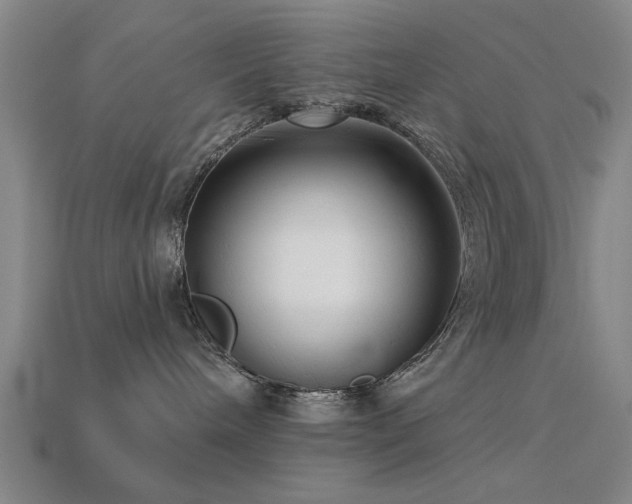 X0000113610240200909181425