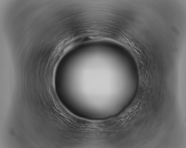 X0000113610241200909181424