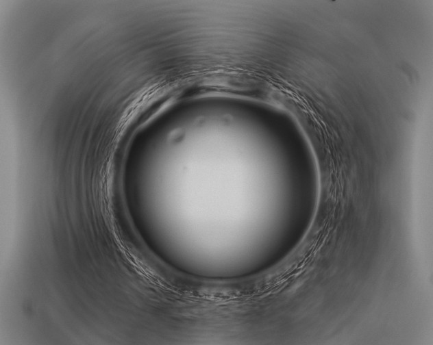 X0000113610242200909181424