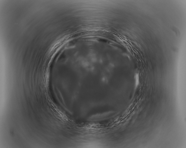 X0000113610243200909181424