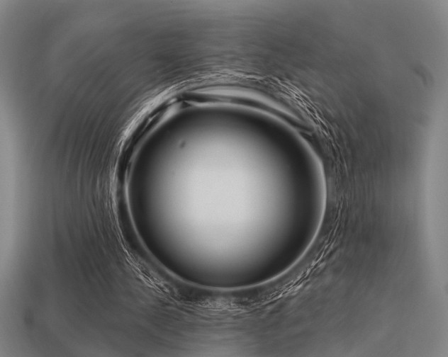 X0000113610244200909181424