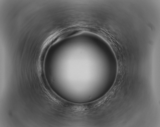 X0000113610245200909181424