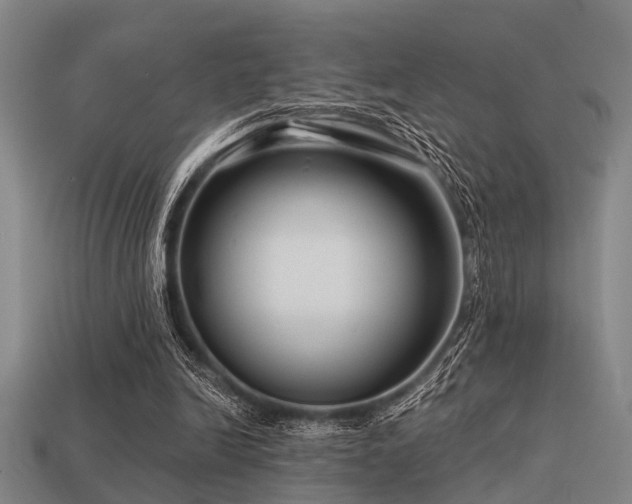 X0000113610246200909181424