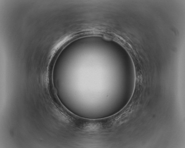 X0000113610248200909181424